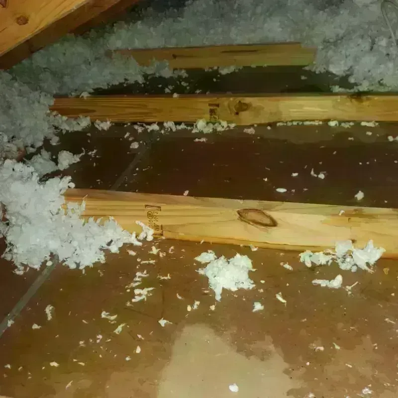 Attic Water Damage in Mountain Brook, AL