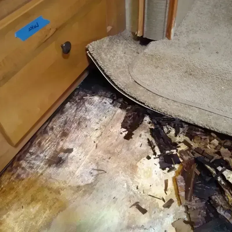 Wood Floor Water Damage in Mountain Brook, AL